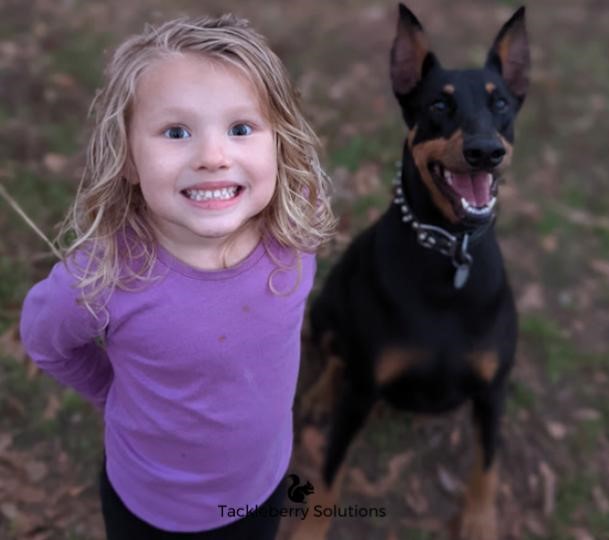 Patricia_Purebred_Doberman_Pinscher_protection_search_and_rescue_emotional_therapy16