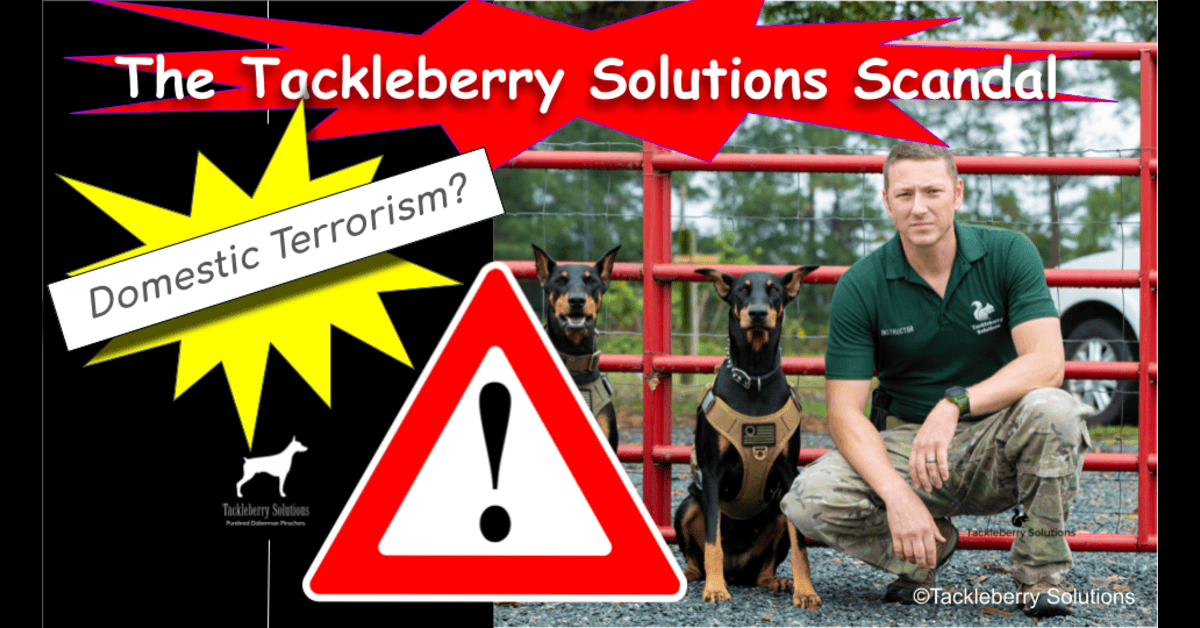 The-Tackleberry-Solutions-Scandal-and-Domestic-Terrorism