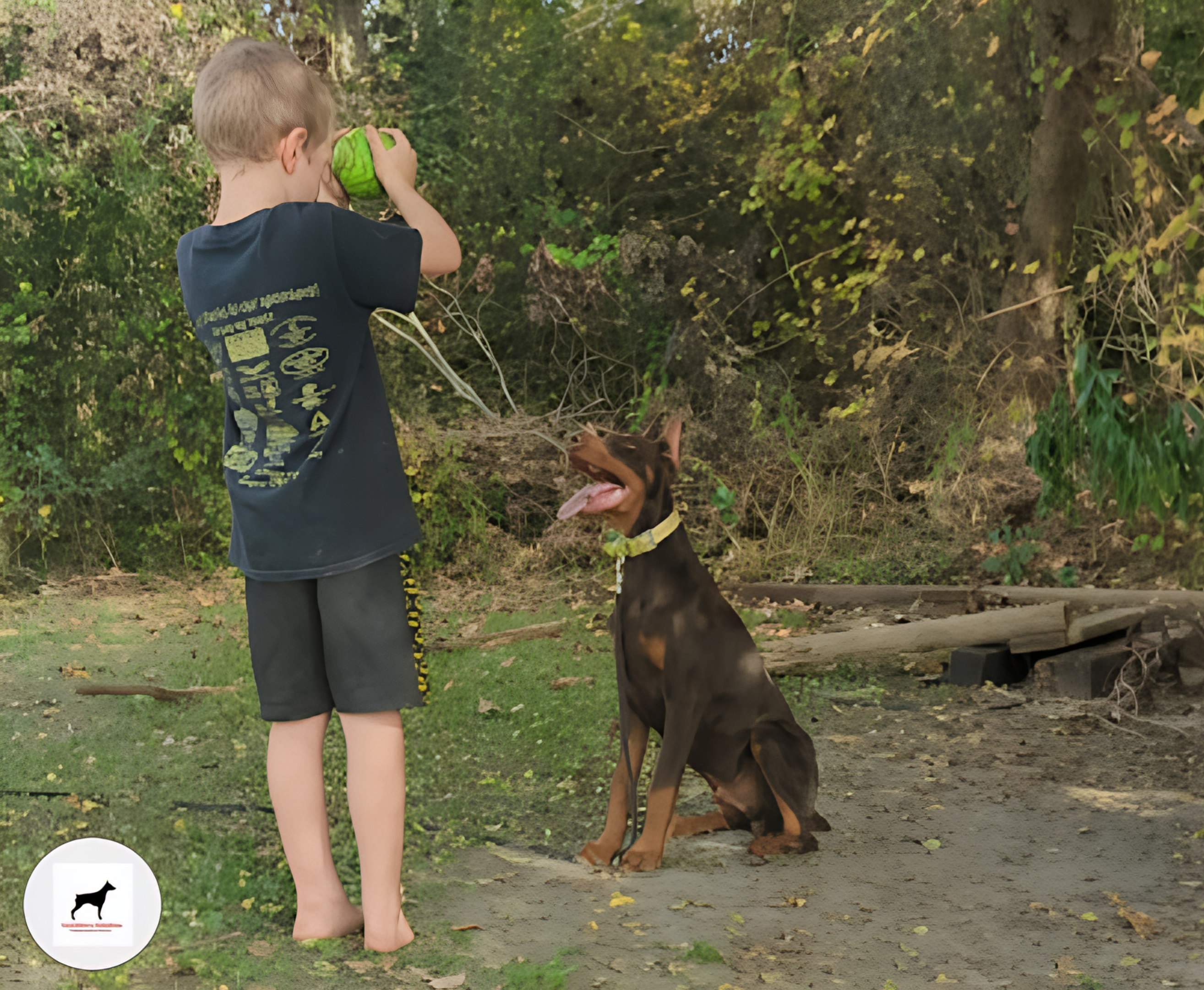 Duke-Doberman_puppies_5