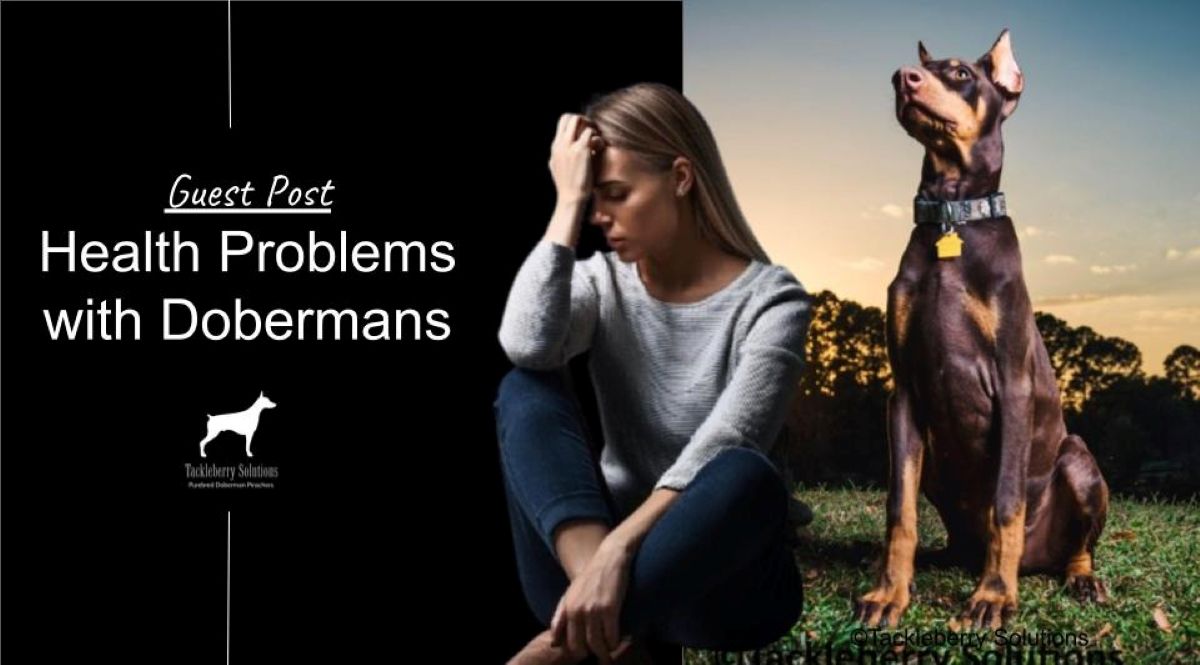 health-problems-with-dobermans