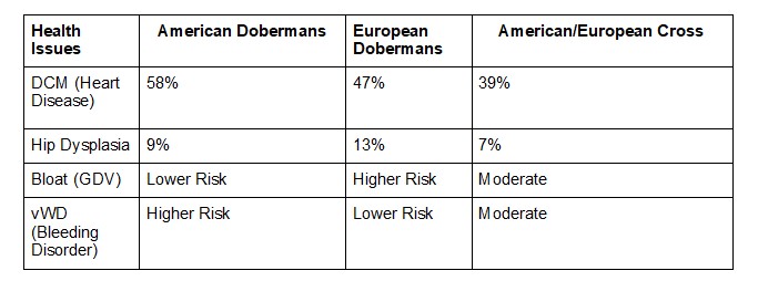 health-problems-with-dobermans1