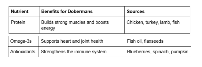 life-expectency-of-dobermans-recommended-nutrients