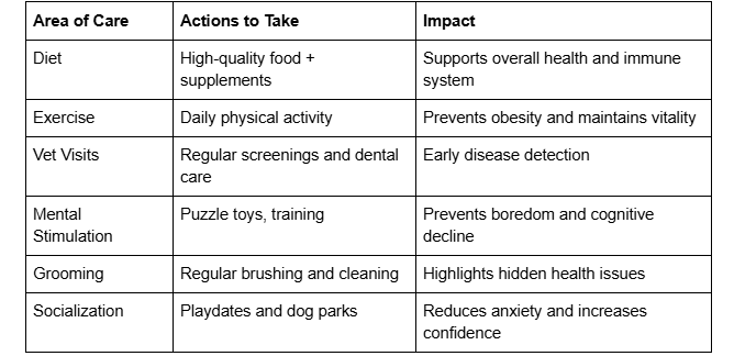 life-expectency-of-dobermans-summary