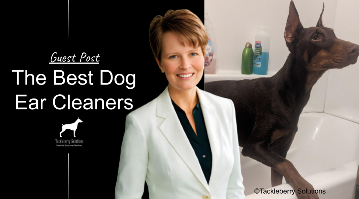 the-best-dog-ear-cleaners-guest-post