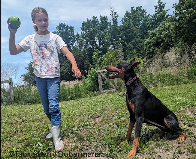 Everly_intern