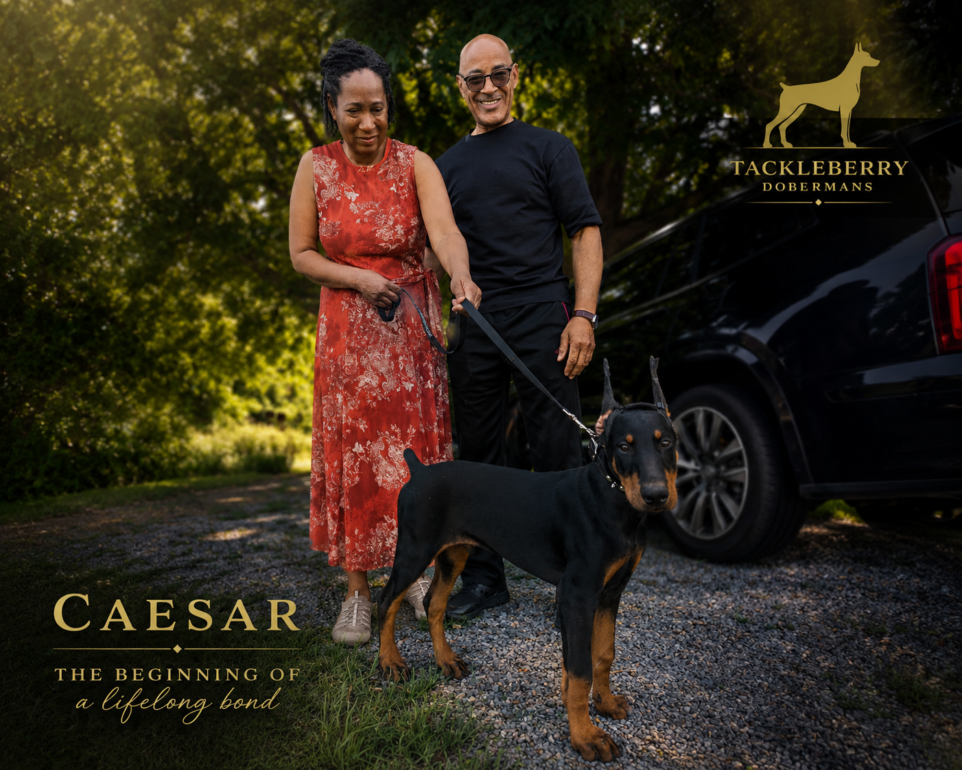 Doberman Puppies for Sale in North Carolina