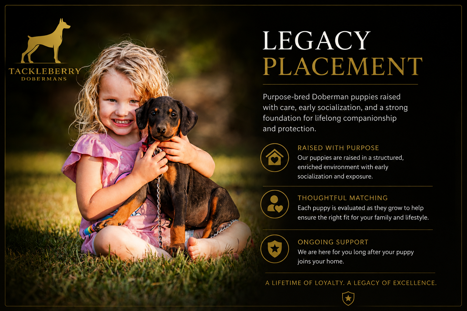 Legacy-placement-tackleberry-doberman-puppies1
