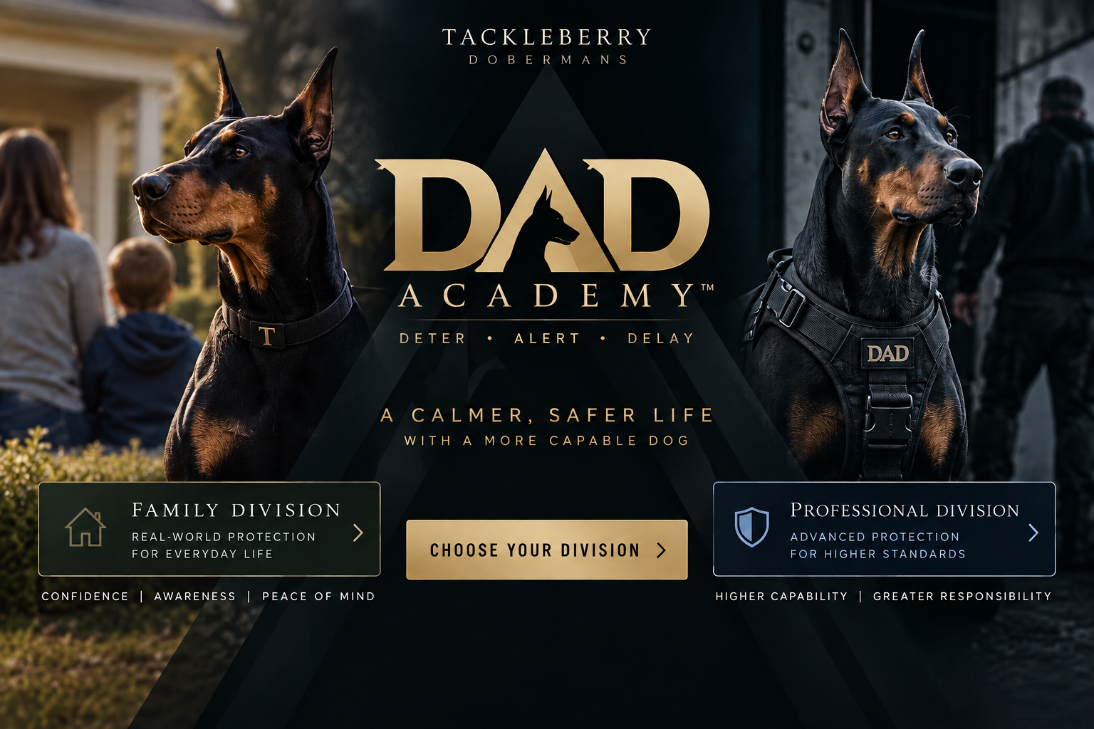 DAD_Academy_Choose_Your_Division