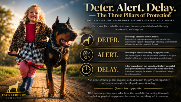 Deter. Alert. Delay. The three pillars of protection