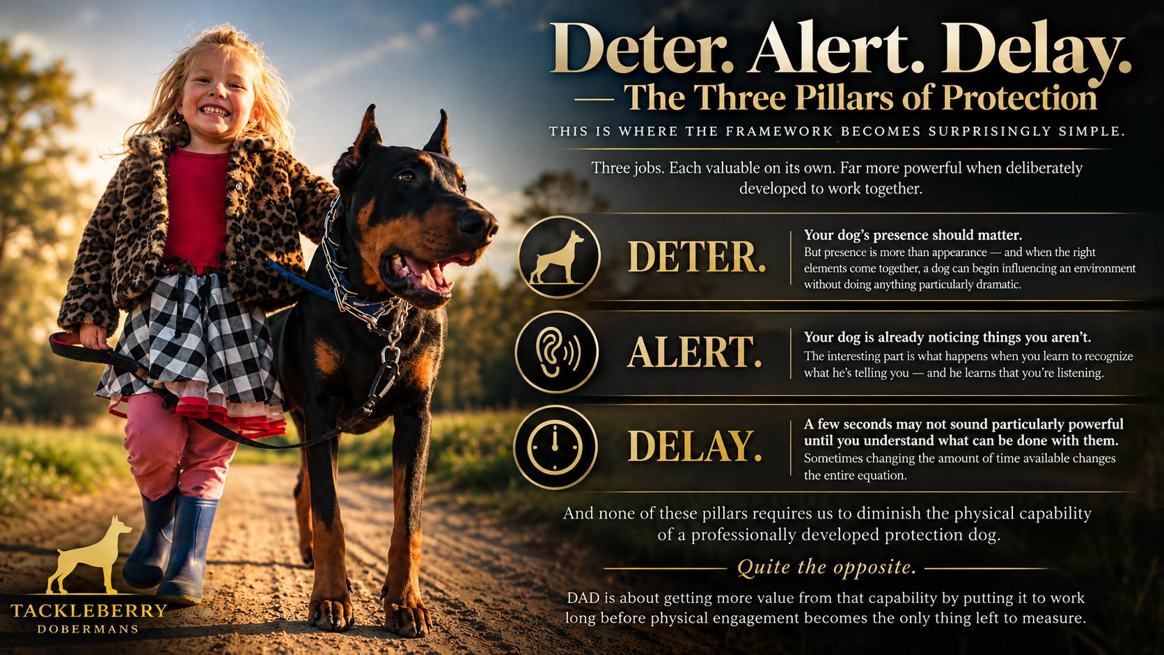protection-dog-dad-professional-division protection-dog-dad-professional-division